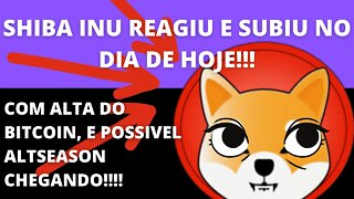 #SHIBAINUCOIN reagindo hoje!!! - 206