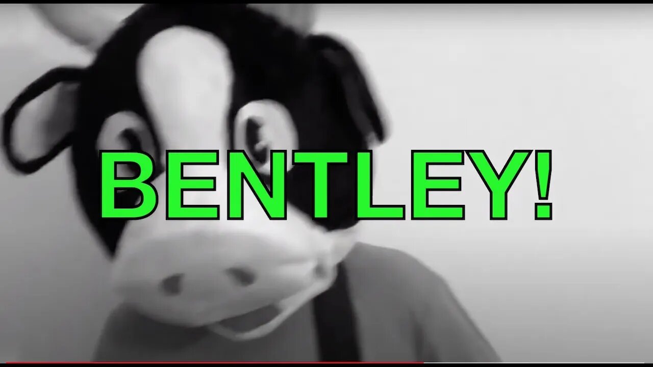 Happy Birthday BENTLEY! - COW Happy Birthday Song