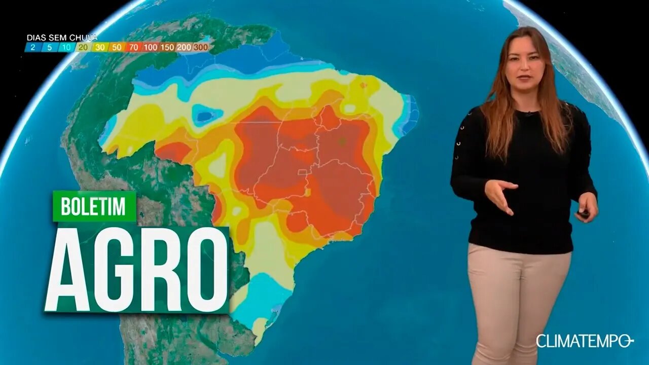 Boletim Agro - Tempo seco favorece a colheita do milho e o plantio do trigo no PR e SC