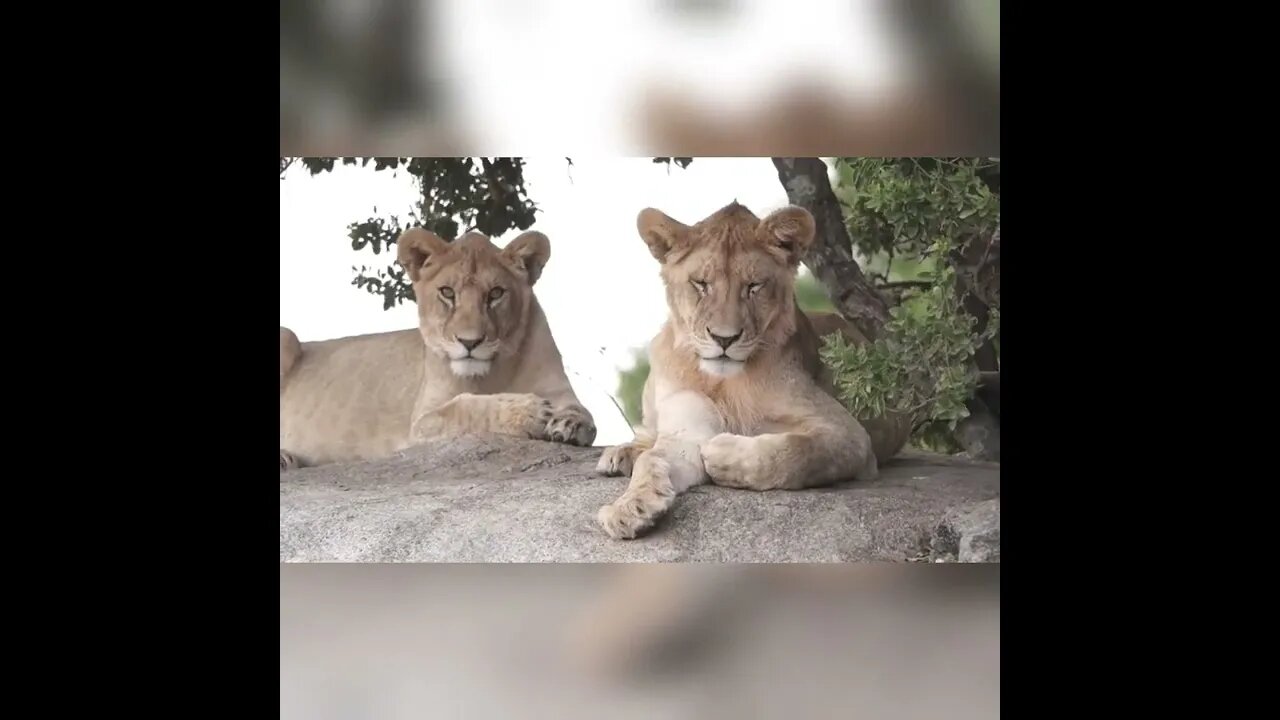 Nature Horizons Tanzania recap