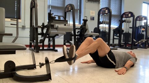 Knee raises AKA reverse squats