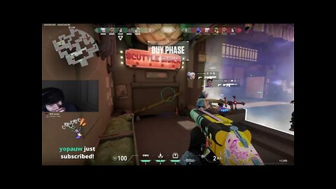 DOLPHIN MONTAGE
