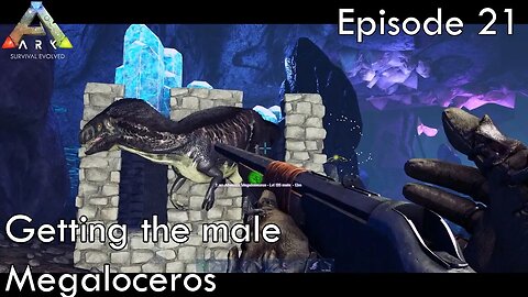 Getting the male Megaloceros - Ark Survival Evolved - Aberration EP21