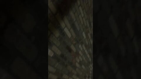 August 24, 2022 #gangstalking #gaslighting #noisecampaign