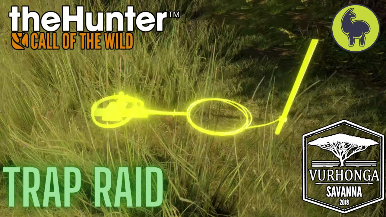 Trap Raid, Vurhonga Savanna | theHunter: Call of the Wild (PS5 4K)