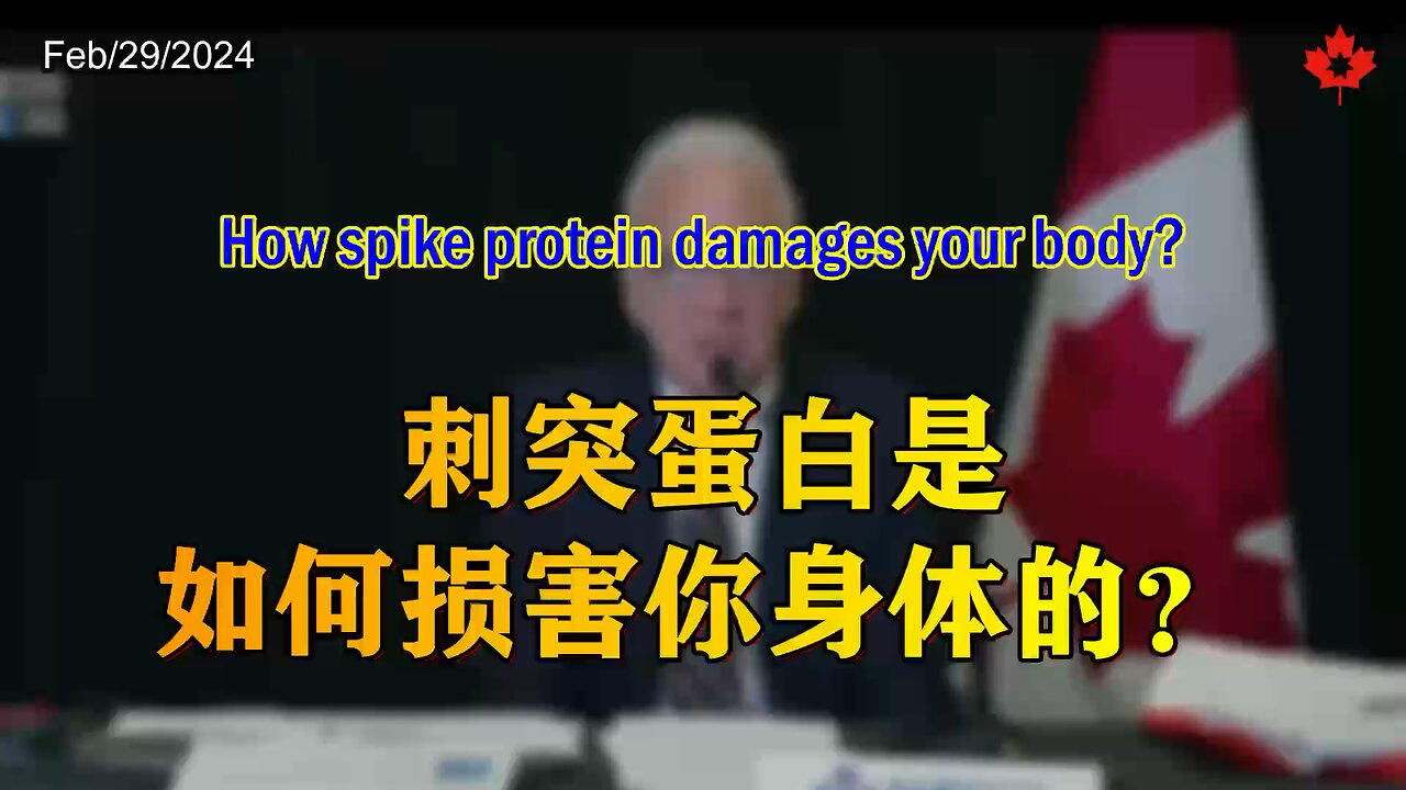 How spike protein damages your body? 刺突蛋白是如何损害你身体的？