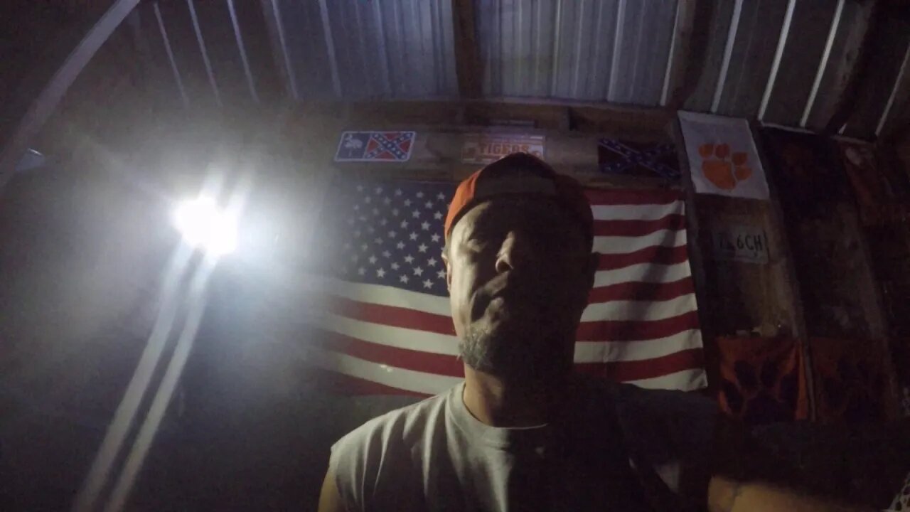 Disturbed & Disgusted