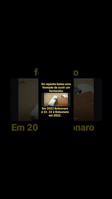 Não erre em 2022 @Jair Bolsonaro é 22… #bolsonaro2022 #capitaodopovo #tamujunto #PTnuncamais #2022