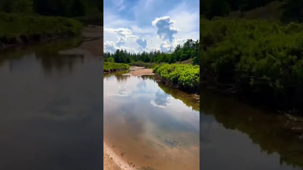 Relaxing day at the beach
