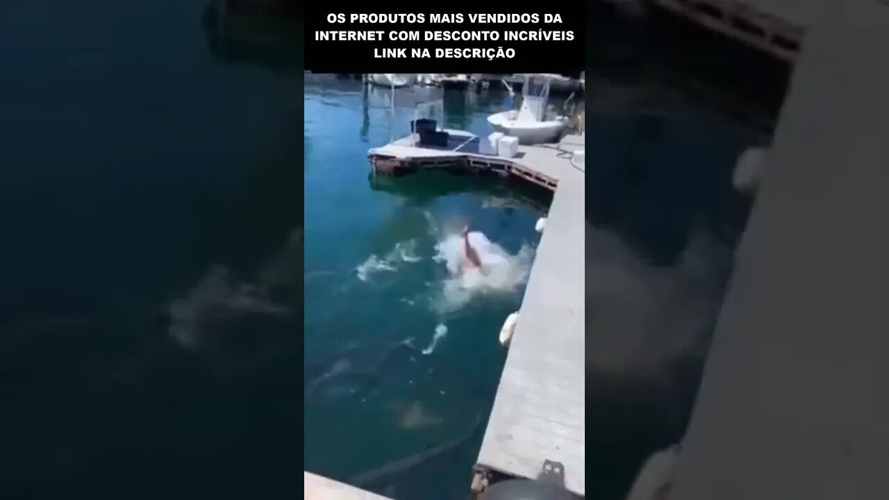 PESCADOR SENDO PESCADO