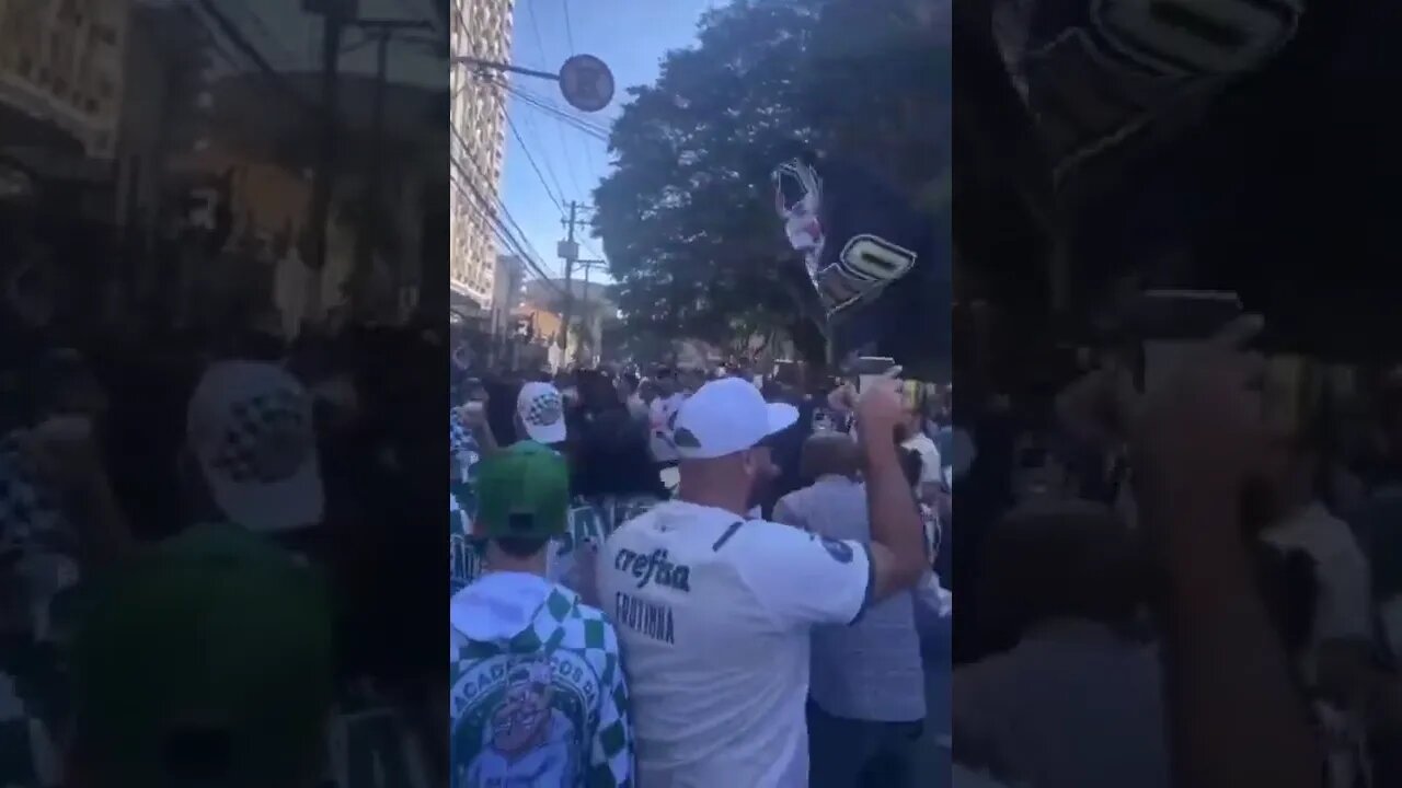 Torcidas de Palmeiras e Galo xingando o Flamengo