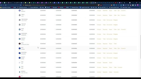 02 - Como mandar o endereço da Carteira Ronin da BINANCE