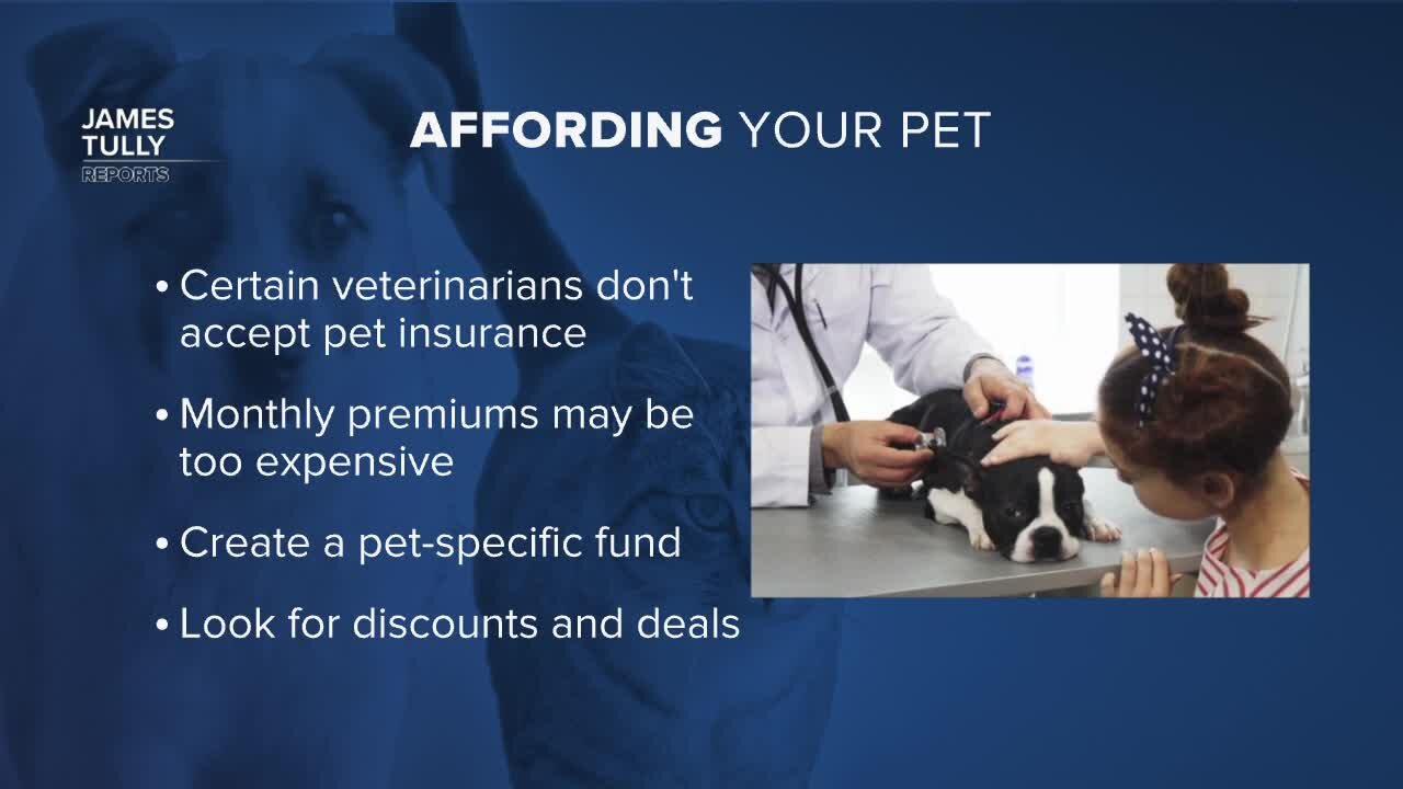 Owning a pet costs around $1,000 a year