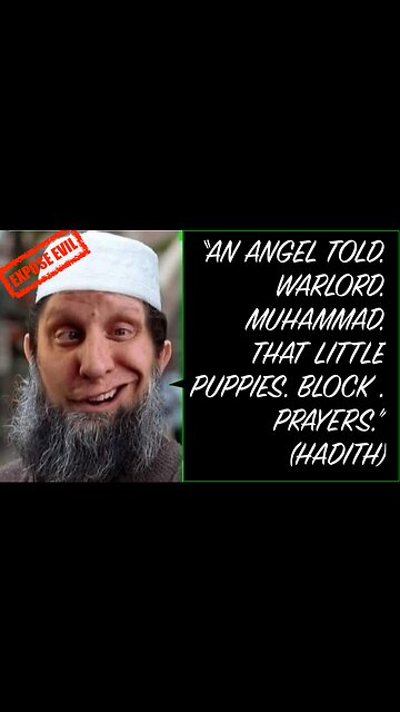 DOG ABUSE REPORT: TEHRAN IRAN , both Shia and Sunni Islam teach hatred against dogs