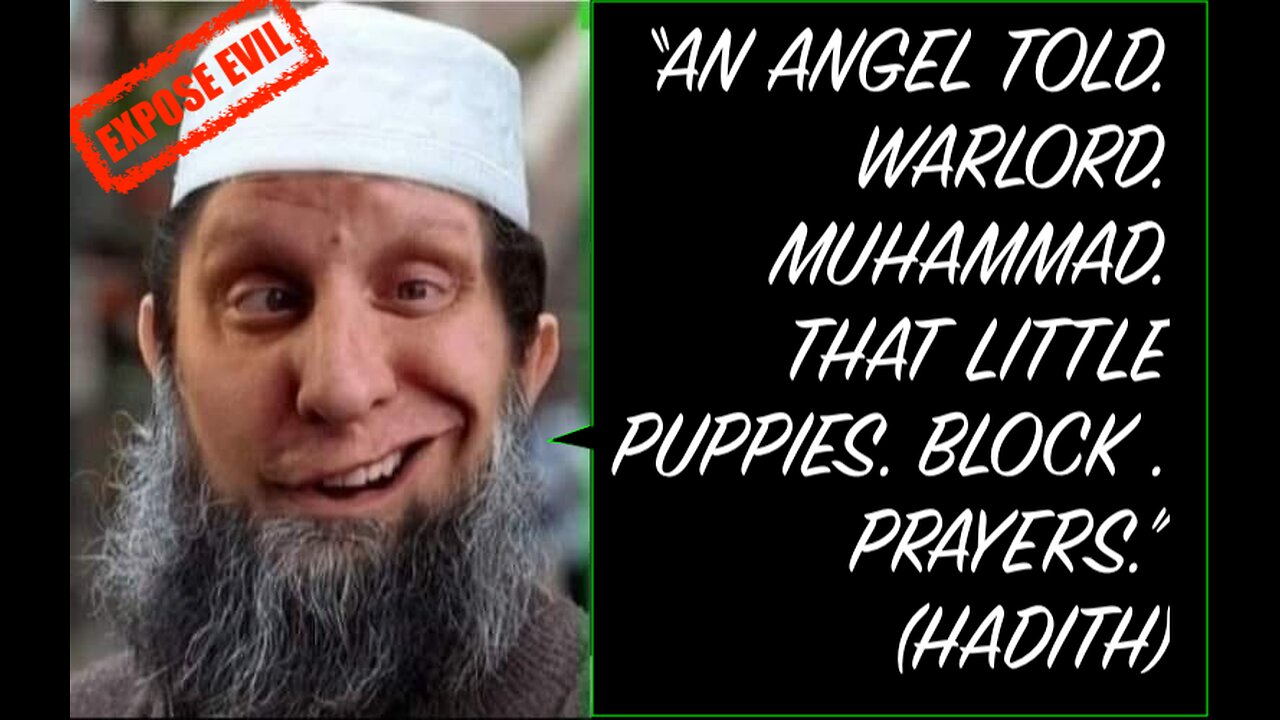 DOG ABUSE REPORT: TEHRAN IRAN , both Shia and Sunni Islam teach hatred against dogs