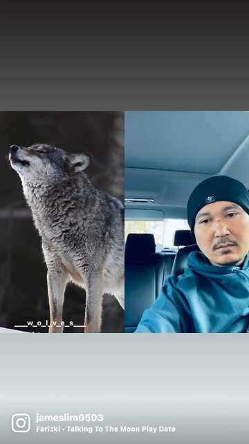 Talking to the moon 🌙