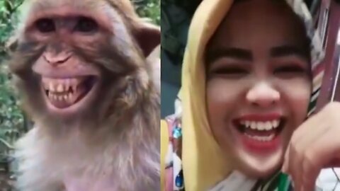Troll Prank Dog Funny & fake Lion and Fake Tiger Prank To dog & Huge Box Prank to dog