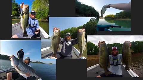 TOP 5 Fish Catches of 2016