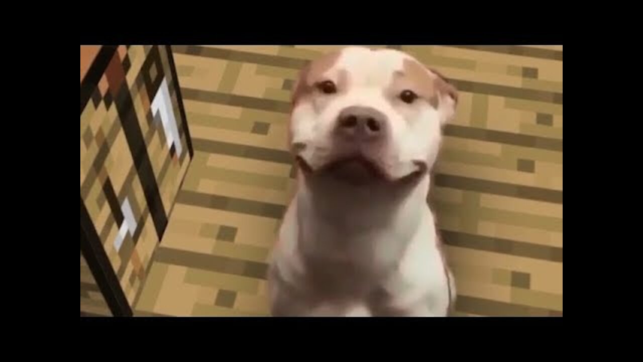 These memes WILL MAKE you CRY compilation 2022 | TRY not to LAUGH challenge 2022 | Unusual memes