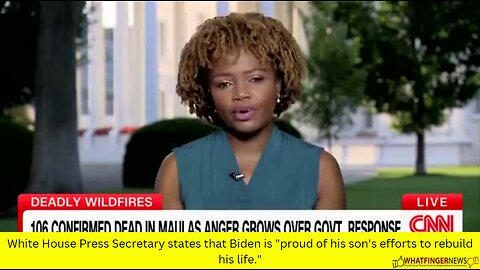 White House Press Secretary states that Biden is "proud of his son's efforts to rebuild his life."