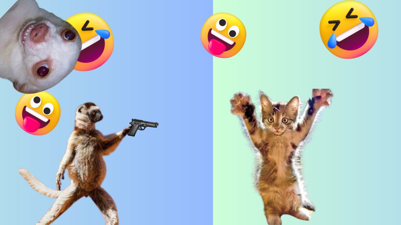 Funniest Animals 2023 π Funny Dogs and Cats Videos πΊπΆ