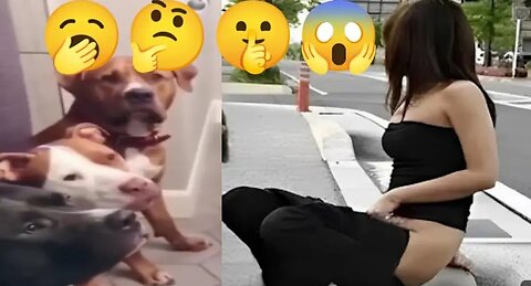 Funniest animals 2024😅In tiktok🤣🤣 Funny and Fails Pets Video