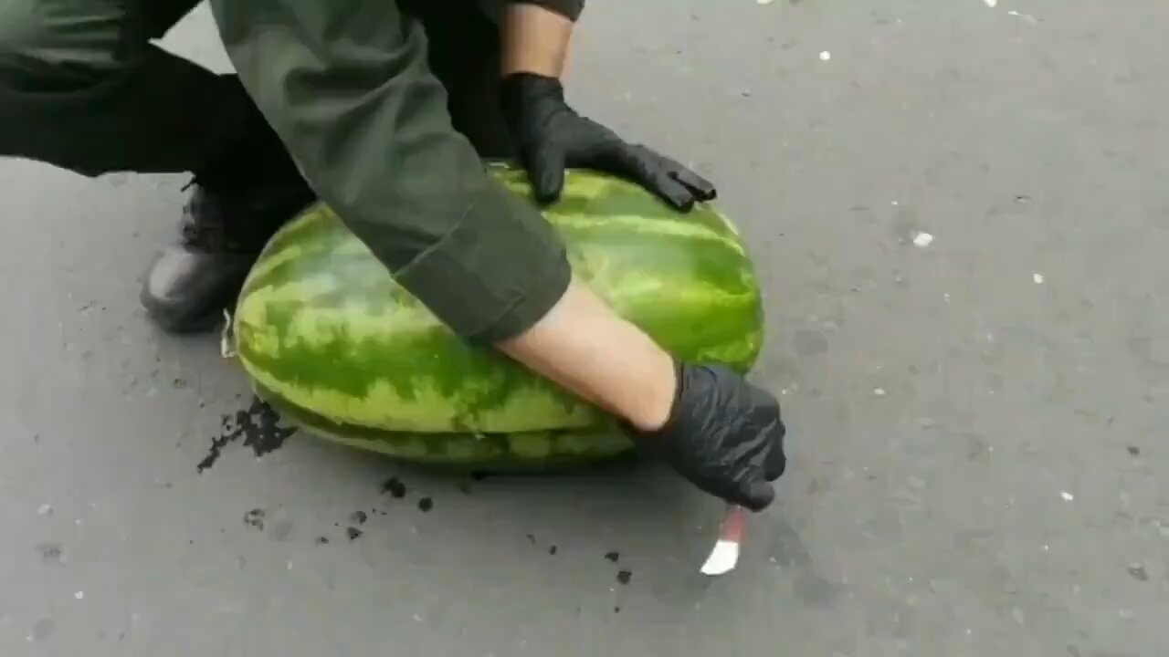 🚨 BREAKING: Thousands of Pounds of Marijuana Discovered Inside Watermelons