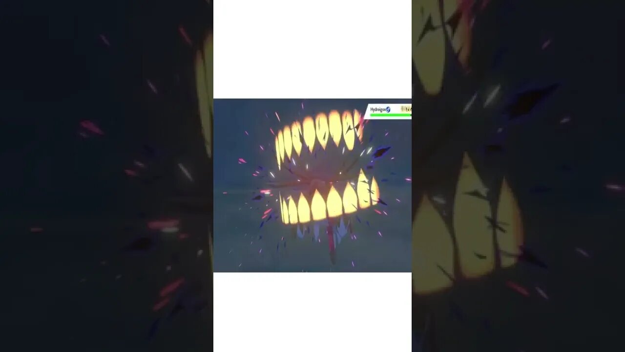 Pokémon Sword - Boltund Used Crunch!