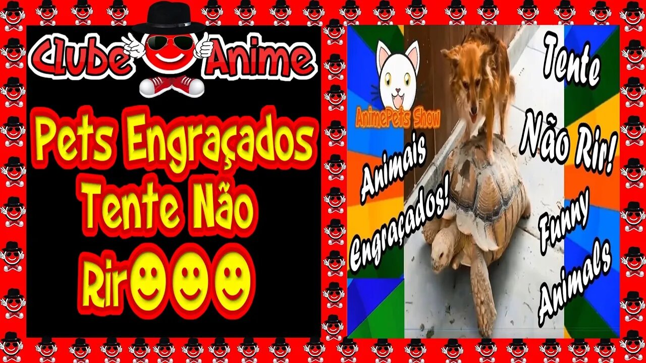 🔴Animais Engraçados Tente Não Rir| Vídeos de Pets Engraçados| Animais Engraçados Dublados |2021