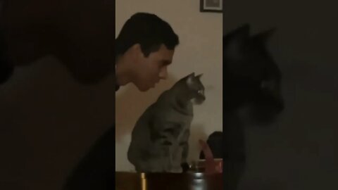 New Farlight 84 Syfer شخصية اصبحت خارقة