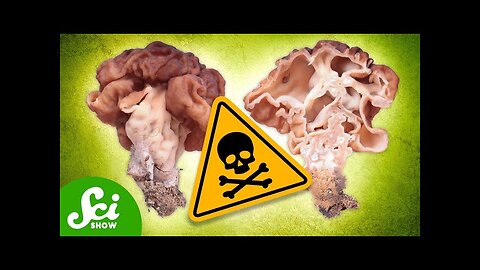 The 6 Deadliest Mushrooms