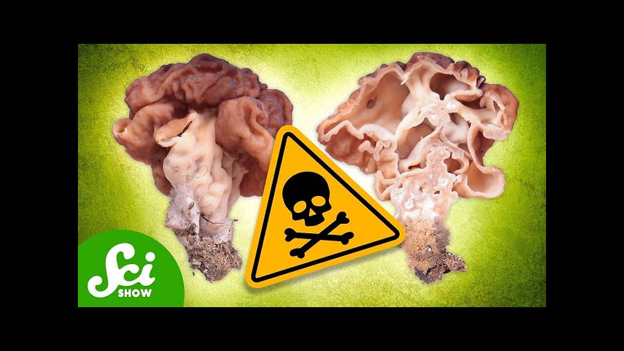 The 6 Deadliest Mushrooms