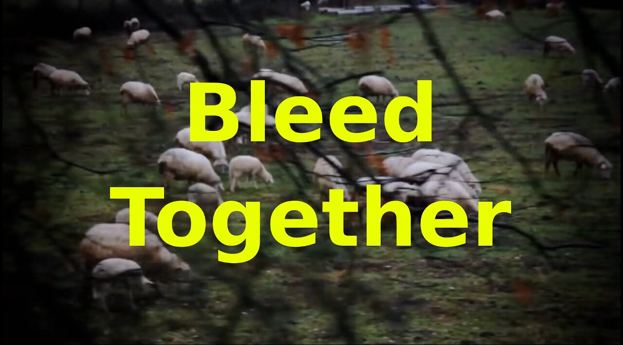 Bleed Together- Soundgarden (Mt 10:16-23)