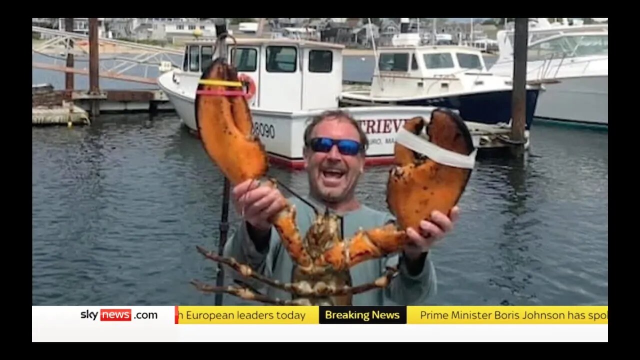 Lobster diver Swallowed alive and spat out by HUGE FISH! - JONAH signs