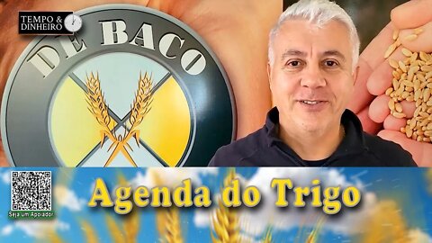A demanda internacional busca trigo em outras origens e as cotações estão muito interessantes...