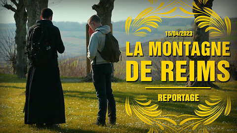 La Montagne de Reims - Reportage