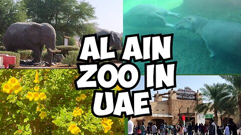 Al Ain Zoo in UAE| My Routine in UAE Sharjah | Tuba Durrani C&M