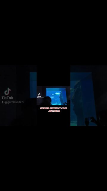 QUICK OVER LOOK AT THE GA AQUARIUM #tiktok