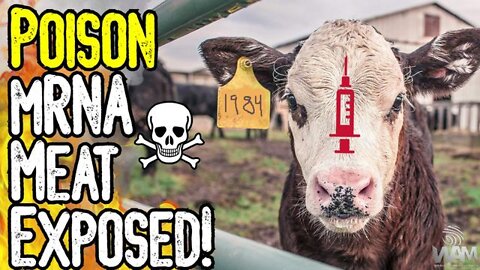 POISON mRNA MEAT EXPOSED! - They Want To Vaccinate Your FOOD! - MASS Genocide!