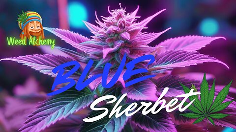 Blue Sherbet Update