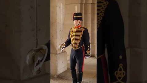 make way for the Queen's Guards #horseguardsparade