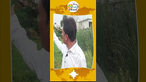 One street dog was killed brutally by panchayat