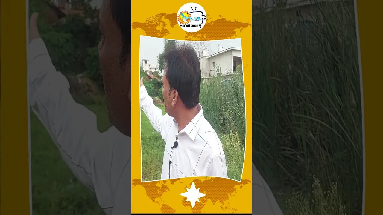 One street dog was killed brutally by panchayat