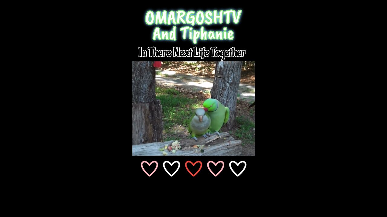 OMARGOSHTV and Tiphanie in their next life together