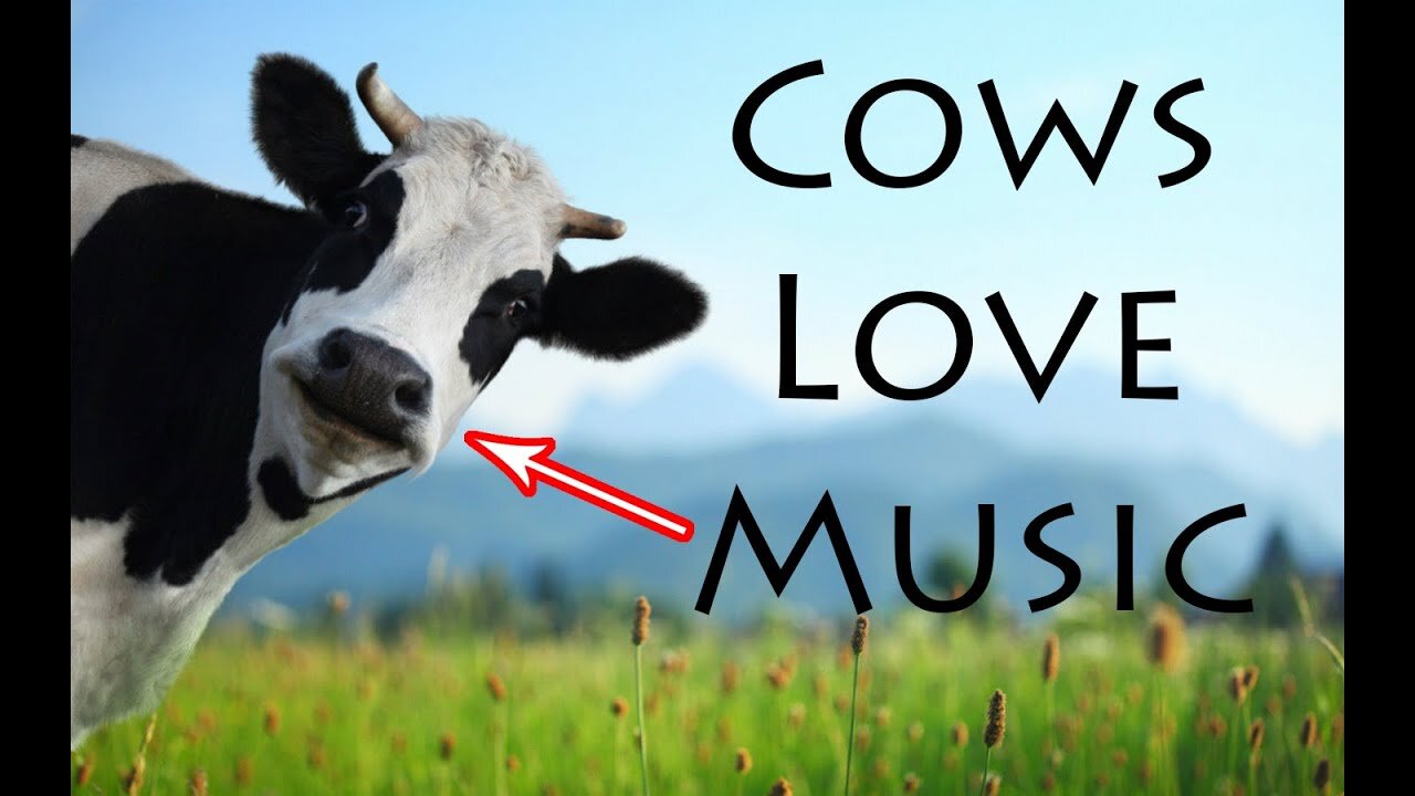 ANIMALS AND POWER OF MUSIC COMPILATION 🐮🐮🐂🐃