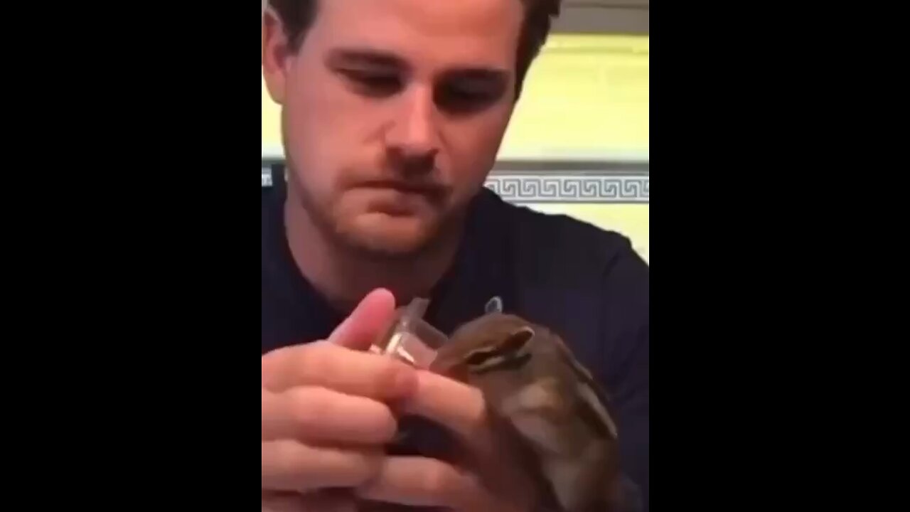 Sharing is caring 🐿️