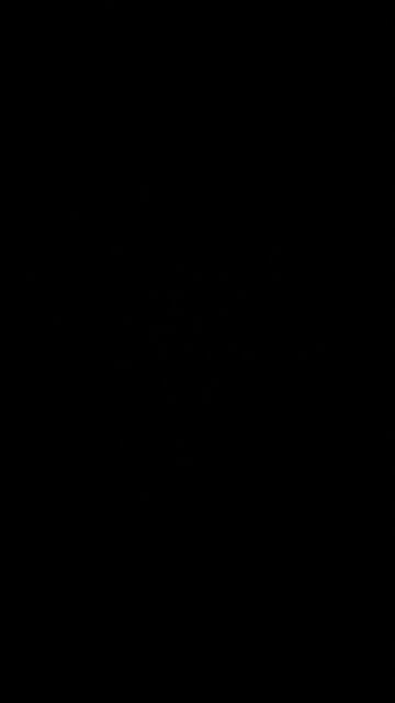 Criminals have overrun our border