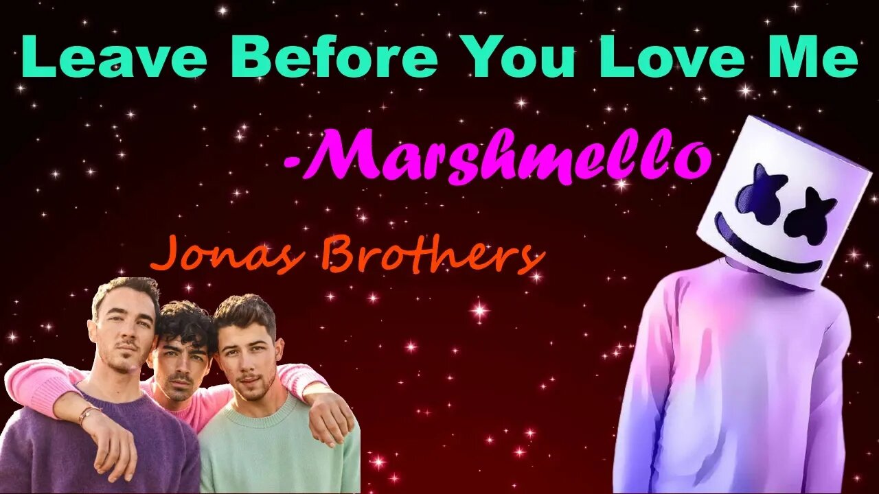 LEAVE BEFORE YOU LOVE ME - Marshmello, Jonas Brothers | Hollywood's Lyrics #16