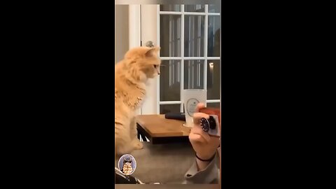 Funny movies 😂 You faint from laughter 🤣