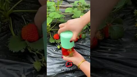 #tiktok #tiktokchina #beauty #shorts #smartgadgetgallery #trending #gadget_2022 #kitchentools